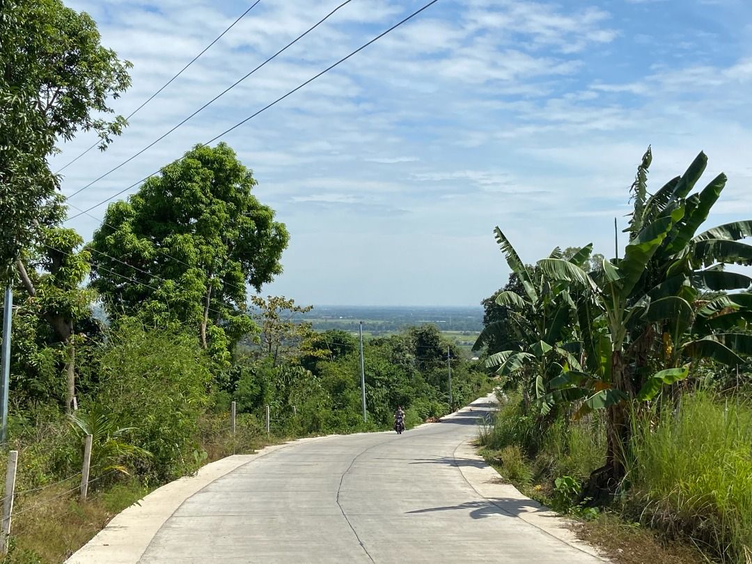 Overlooking 15 Hec Lot for Sale in Dinalupihan, Bataan / Florida Blanca