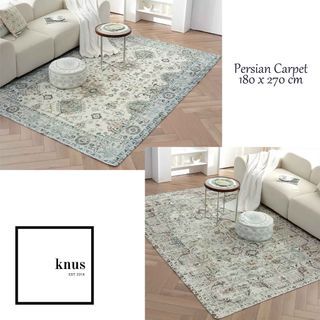 Persian Area Rug Distressed Vintage Fluffy Carpet Large Non Slip Floor Mat 6x9