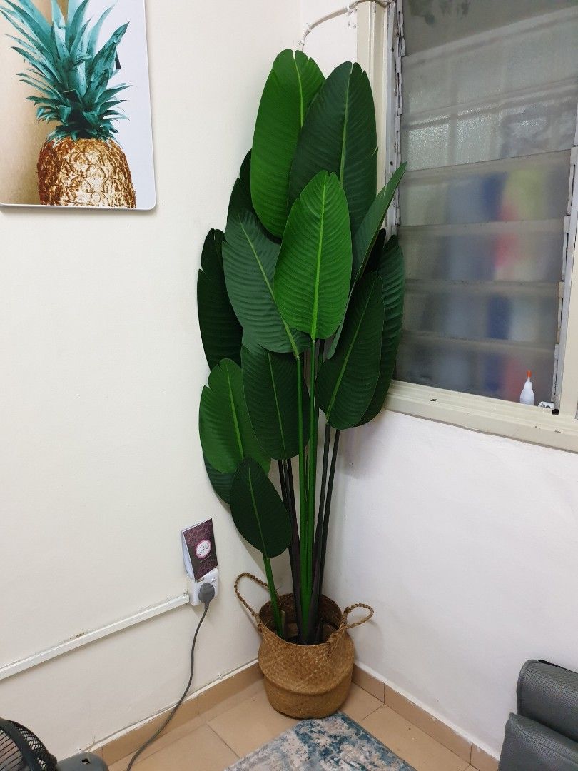 Pokok pisang hiasan deko rumah artificial banana plant, Furniture