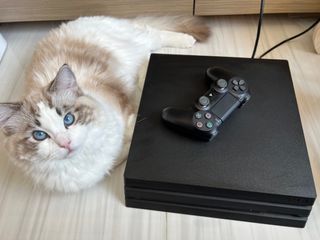 （分類：）位於 。 由 irenewsc 提交（商品編號 1205702193，圖片 1）。簡介： 。