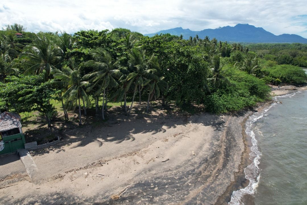 Beach front lot for sale in Dumaguete, Dauin, Zamboanguita, Property, For Sale, Lot on Carousell