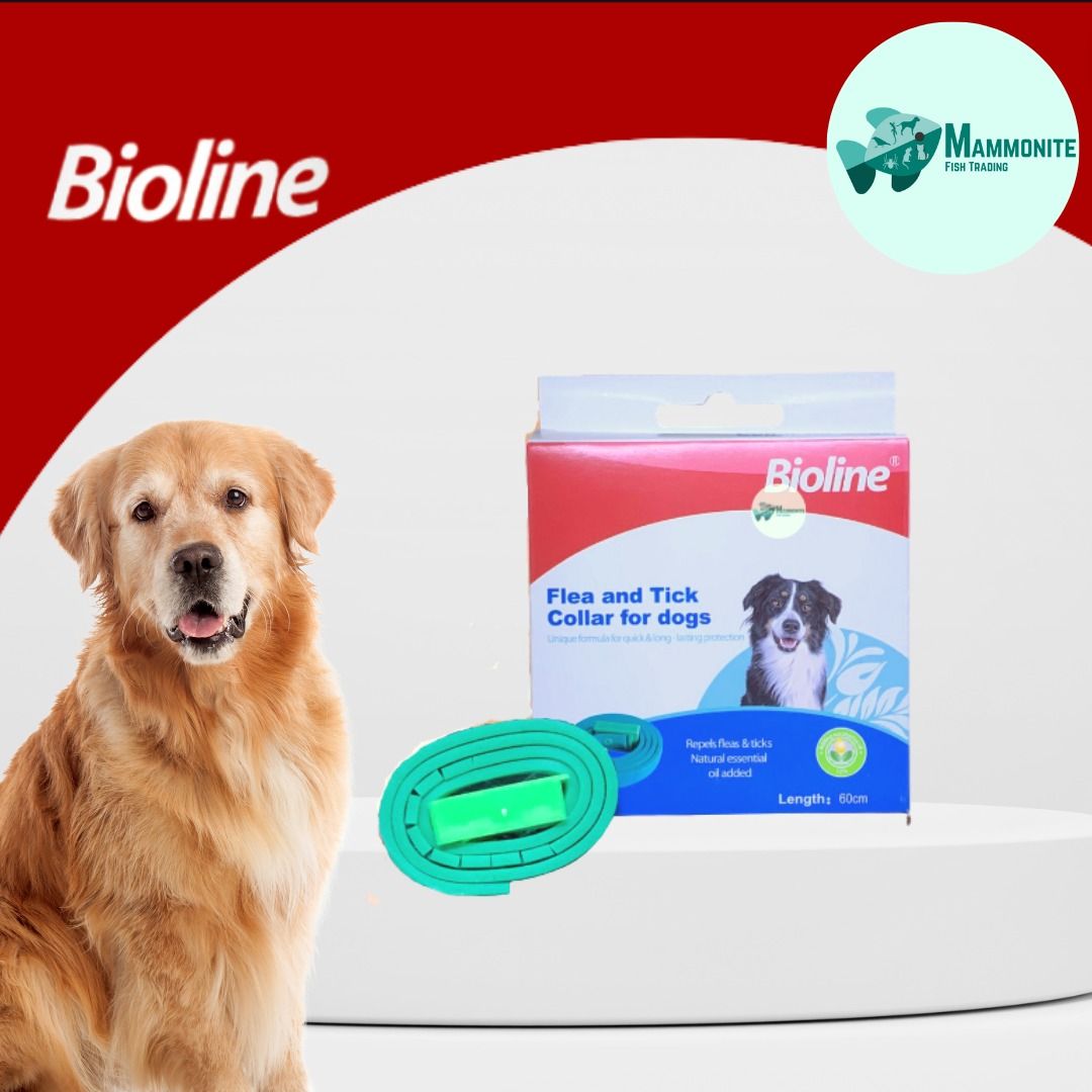 Bioline Flea and Tick Collar for Dog and Cat 35cm 60cm, Pet Supplies