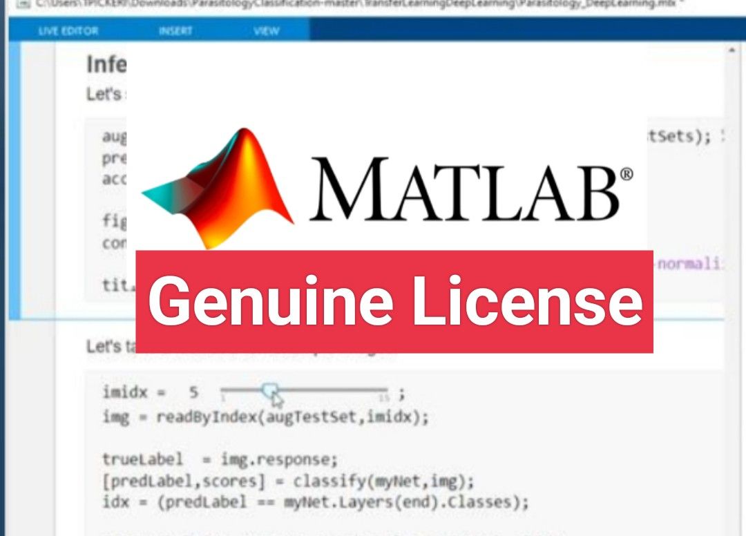 Genuine MATLAB (by MathWorks) High Level Programming Language for ...