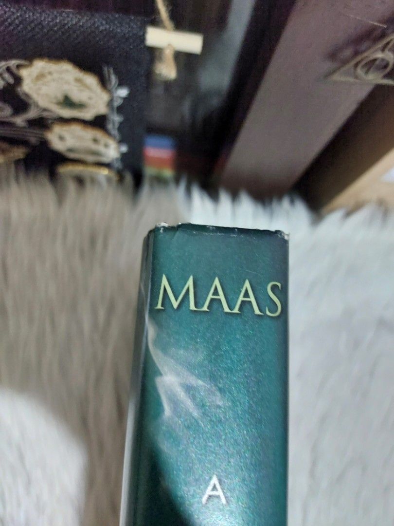 Hardcover A Court of Wings and Ruin by Sarah J Maas Hobbies Toys
