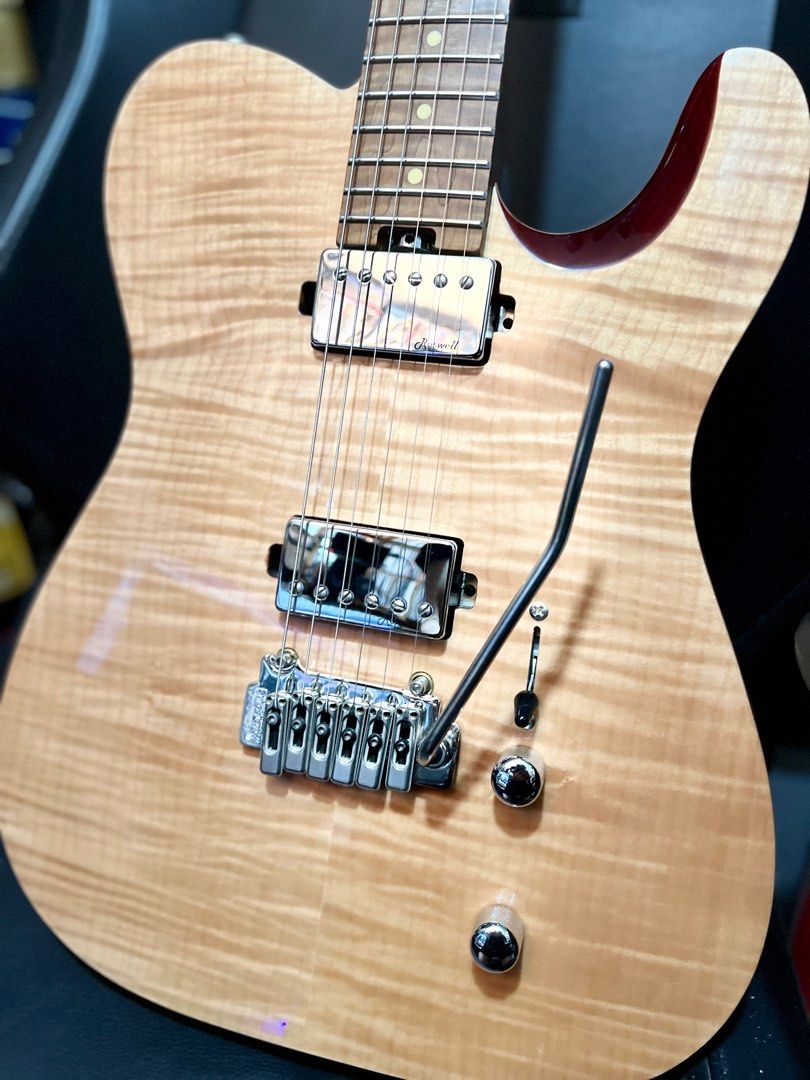 Harley Benton FusionT HH Roasted FNT , Hobbies & Toys, Music & Media