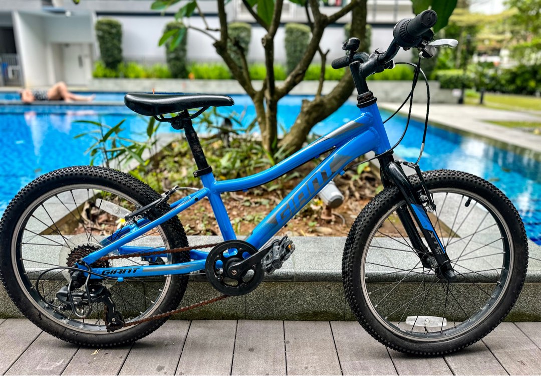 Giant bikes xtc jr 20 deals