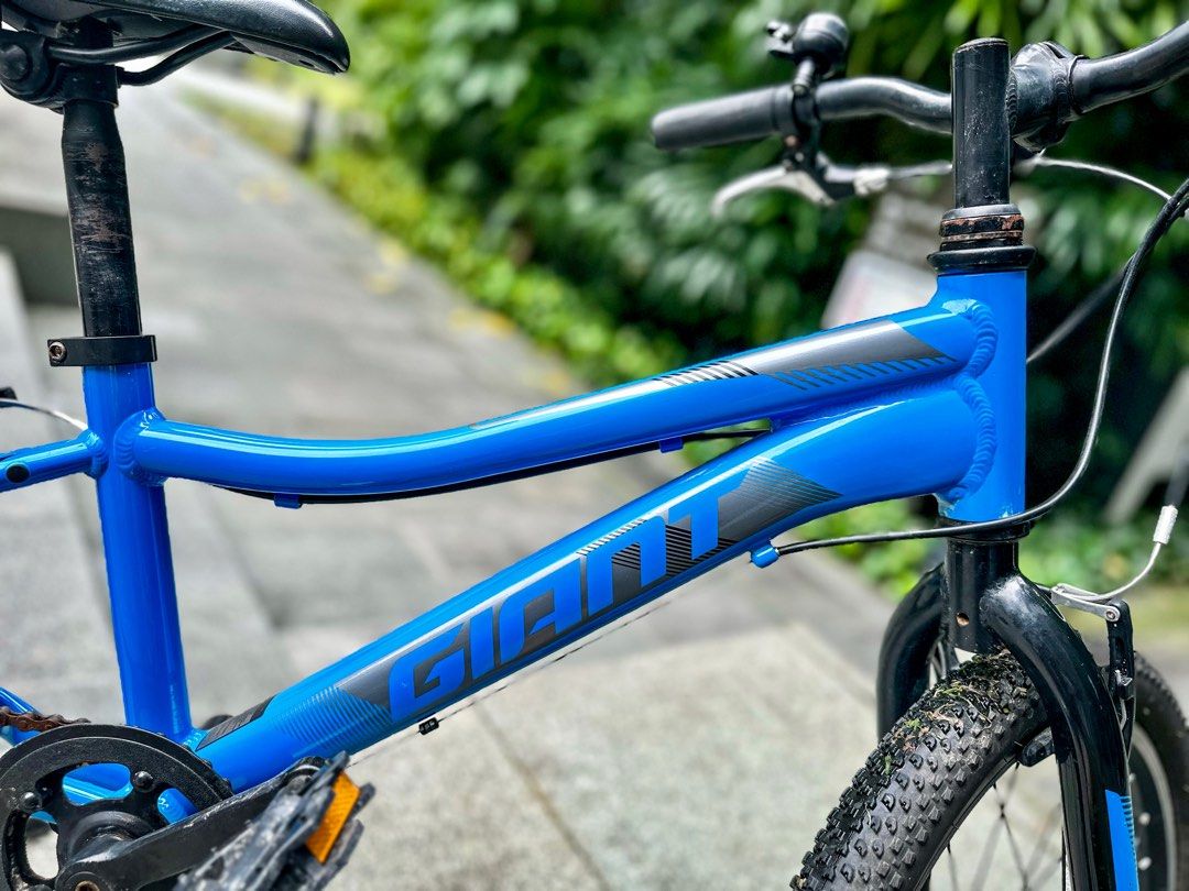 Giant bikes sales xtc jr 20