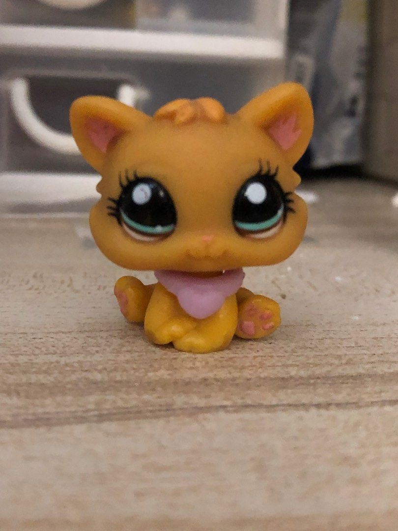 LPS littlest pet shop kitten, Hobbies & Toys, Toys & Games on Carousell