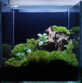 (Category: ) located in . Submitted by chuary_pt (Listing ID 1205957558, Image 1). Description: .