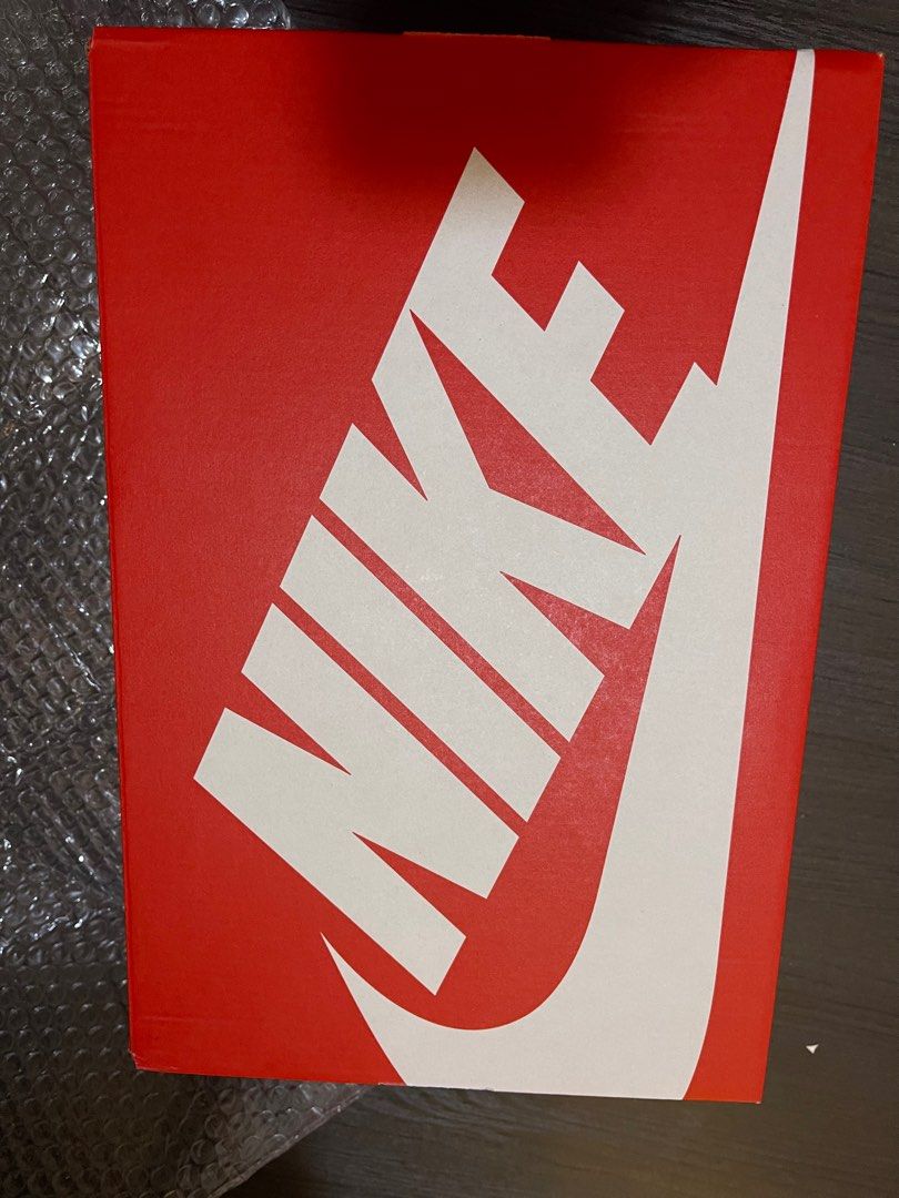 justin bieber nike dunk