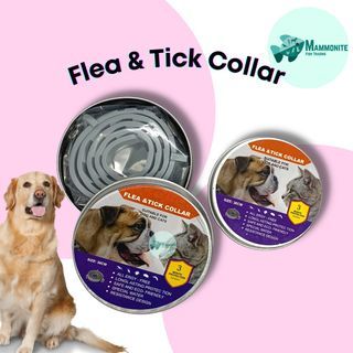 Pet Dog Cat Anti Flea and Tick Collar Safe 56cm 36cm DLC155