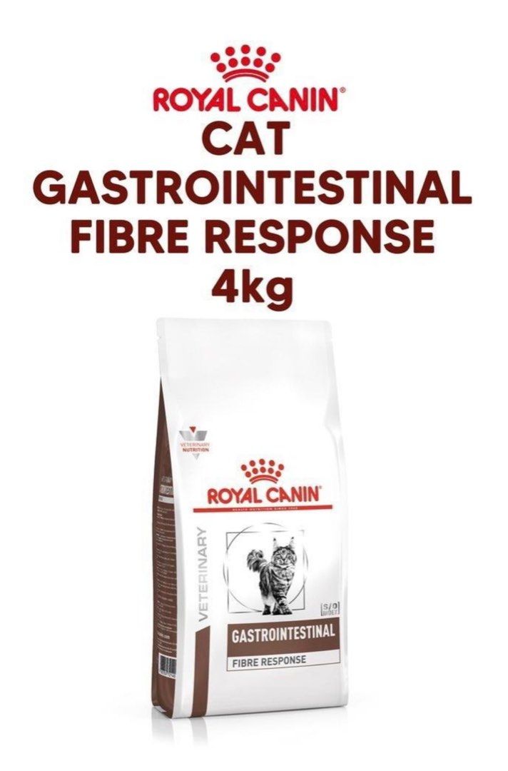 Gi fiber response online dog