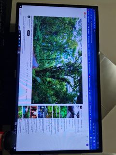 (Category: ) located in . Submitted by jlstfu (Listing ID 1205963036, Image 1). Description: .