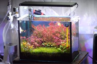 (Category: ) located in . Submitted by naizem (Listing ID 1205934637, Image 1). Description: .