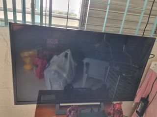 (Category: ) located in . Submitted by rylanloke (Listing ID 1205893295, Image 1). Description: .