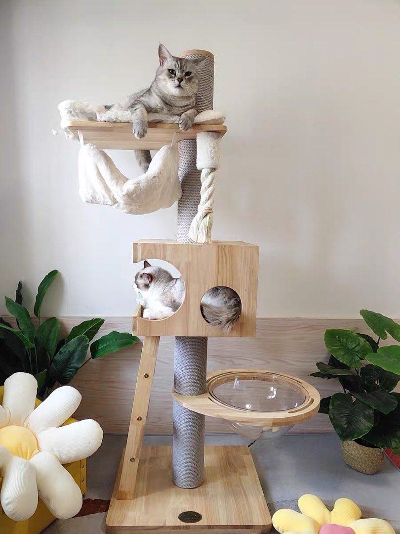 Cat store tree palace