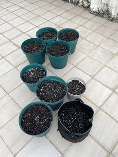 （分類：）位於 。 由 wingilam 提交（商品編號 1206143680，圖片 1）。簡介： 。