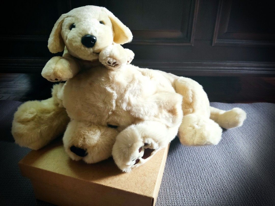 Andrex hotsell puppy teddy