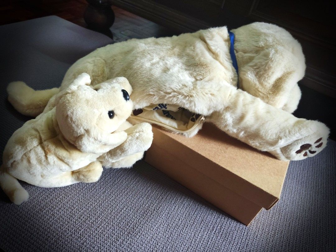 Andrex dog teddy new arrivals