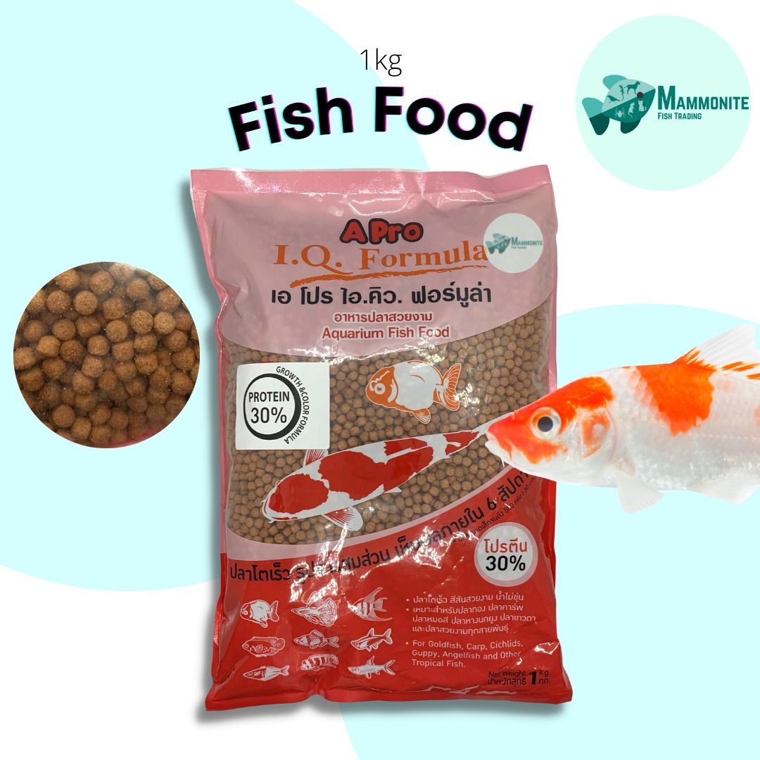 Aquarium 1KG Thailand IQ Fish Food Pellets Protein Growth Color Enhance