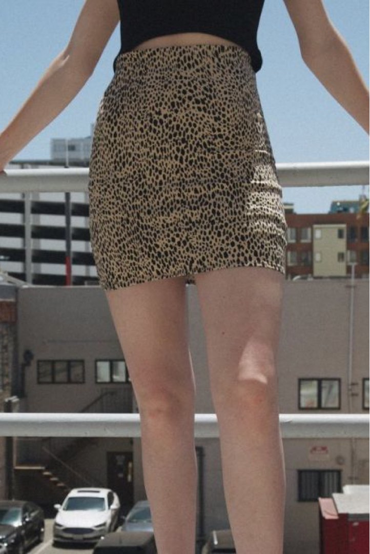 Brandy Melville Phoebe Skirt, Women's Fashion, Bottoms, Skirts on Carousell