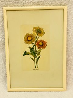 （分類：）位於 。 由 movinghouse22 提交（商品編號 1206283642，圖片 1）。簡介： 。