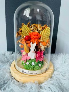 (Category: ) located in . Submitted by qqblooms (Listing ID 1206131639, Image 1). Description: .