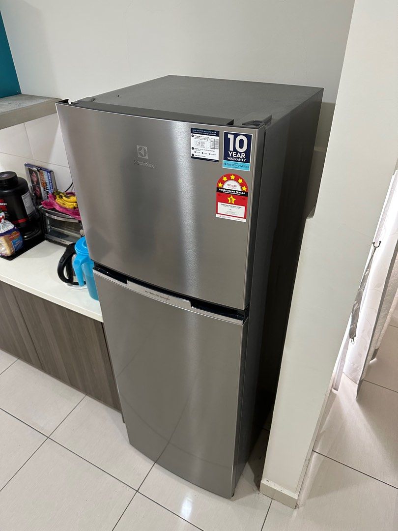 ELECTROLUX Refrigerator (ETB3400H) Available February 2023, TV & Home