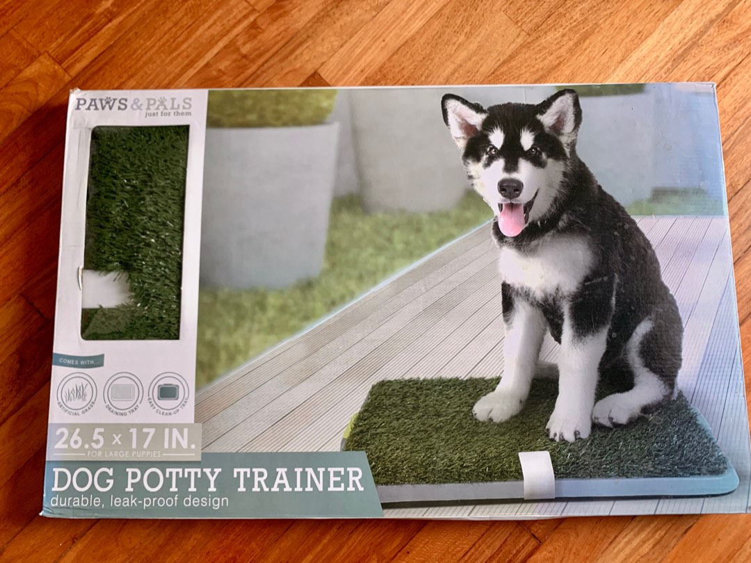 Paws and pals best sale dog potty trainer
