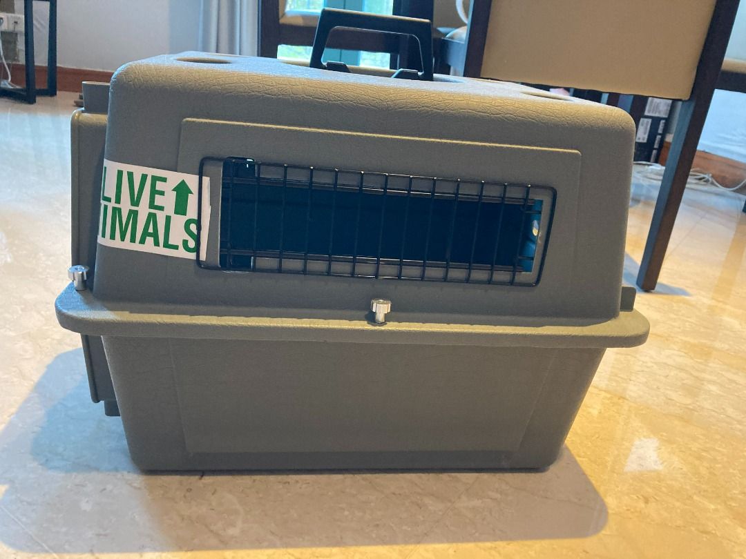 Petmate Sky Kennel Pet Carrier, 21 Inch (IATAapproved), Pet Supplies