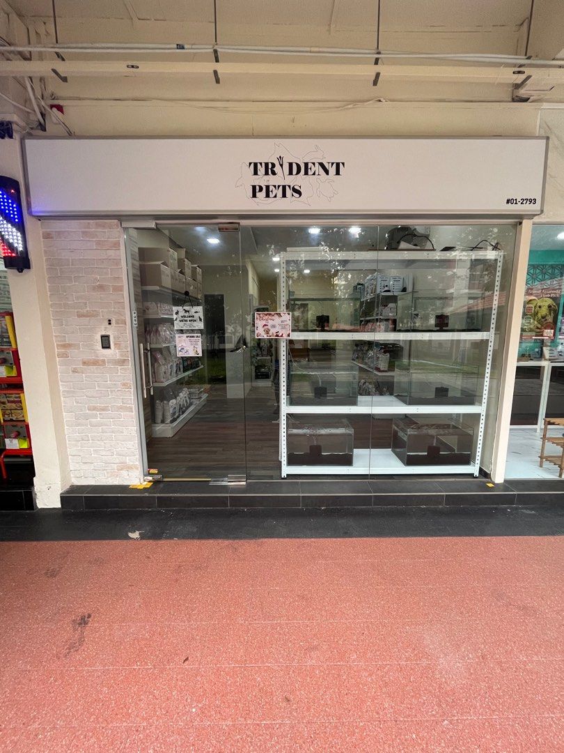 Profitable Pet Shop for takeover, Property, Others on Carousell