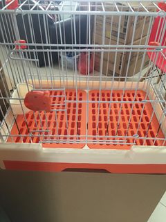 (Category: ) located in . Submitted by lilbe (Listing ID 1206106676, Image 1). Description: .