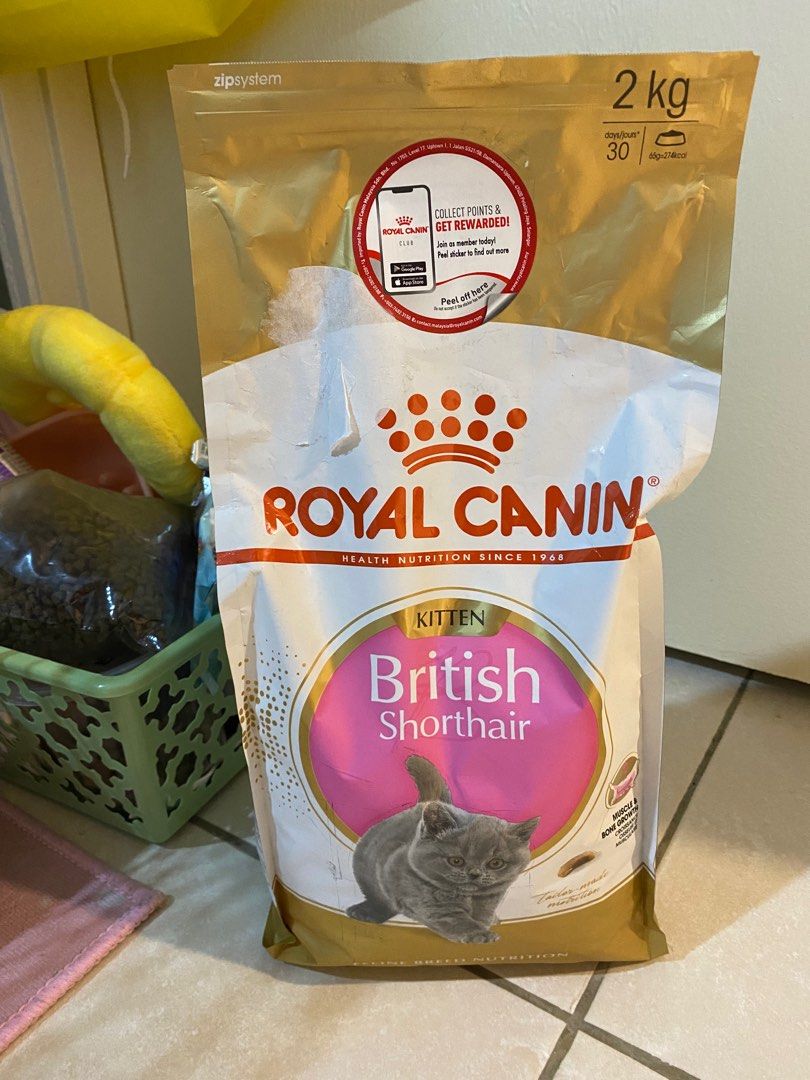 Royal canin british shorthair 20kg sale