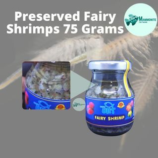 UHT Preserved Adult Fairy Shrimps Fish Food 75 Grams