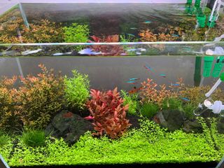 (Category: ) located in . Submitted by maeomm (Listing ID 1200748315, Image 1). Description: .