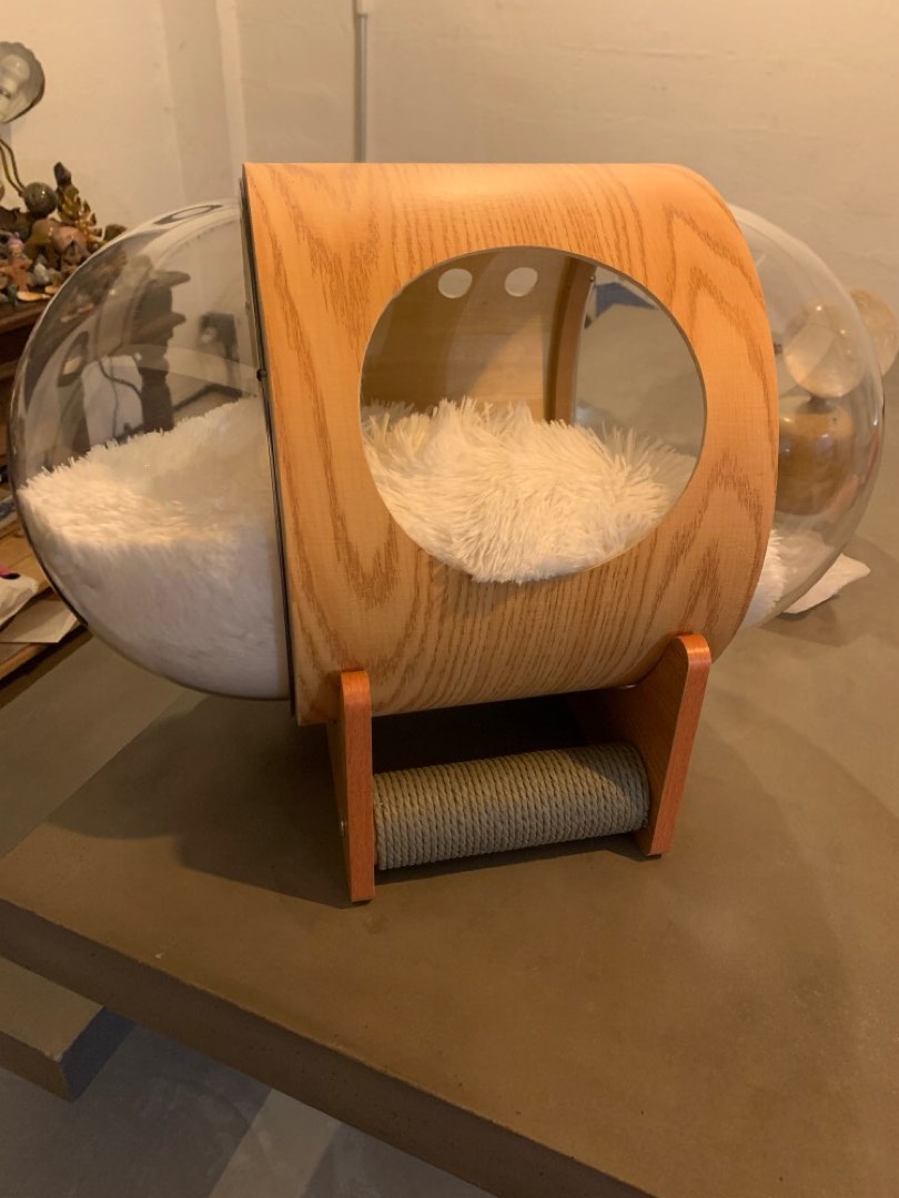 Cat Capsule, Pet Supplies, Homes & Other Pet Accessories on Carousell