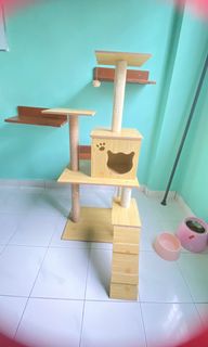 (Category: ) located in . Submitted by maxieda (Listing ID 1200648978, Image 1). Description: .
