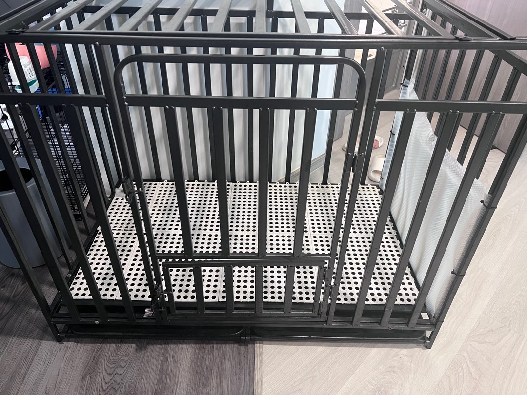 Dog cage (Large), Pet Supplies, Homes & Other Pet Accessories on Carousell