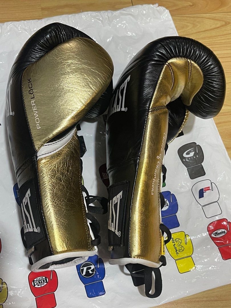Everlast Powerlock Pro fight Gloves, Sports Equipment, Other Sports ...