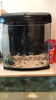 (Category: ) located in . Submitted by nick367 (Listing ID 1200738719, Image 1). Description: .