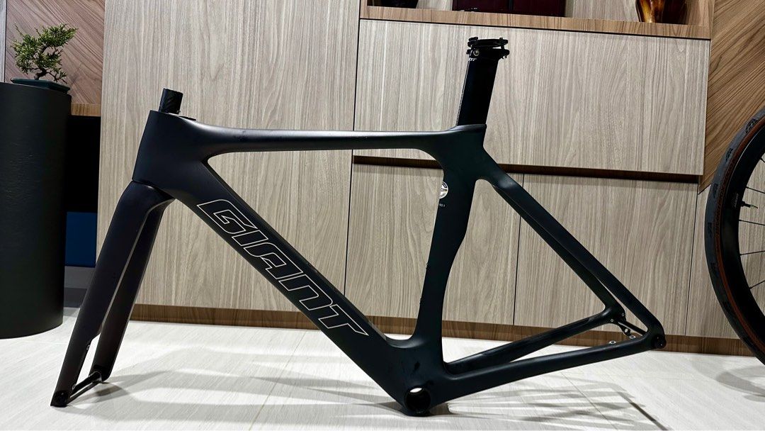Frameset Giant Propel Advance Pro (July 2022), Sports Equipment