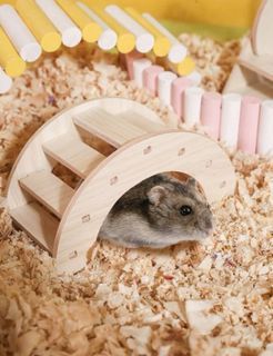 hamster’s bridge