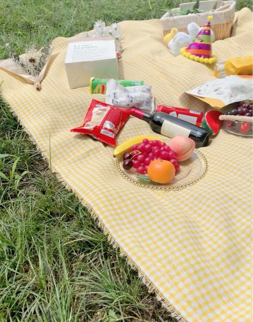 Light weighted gingham picnic mat Furniture Home Living Outdoor Furniture on Carousell