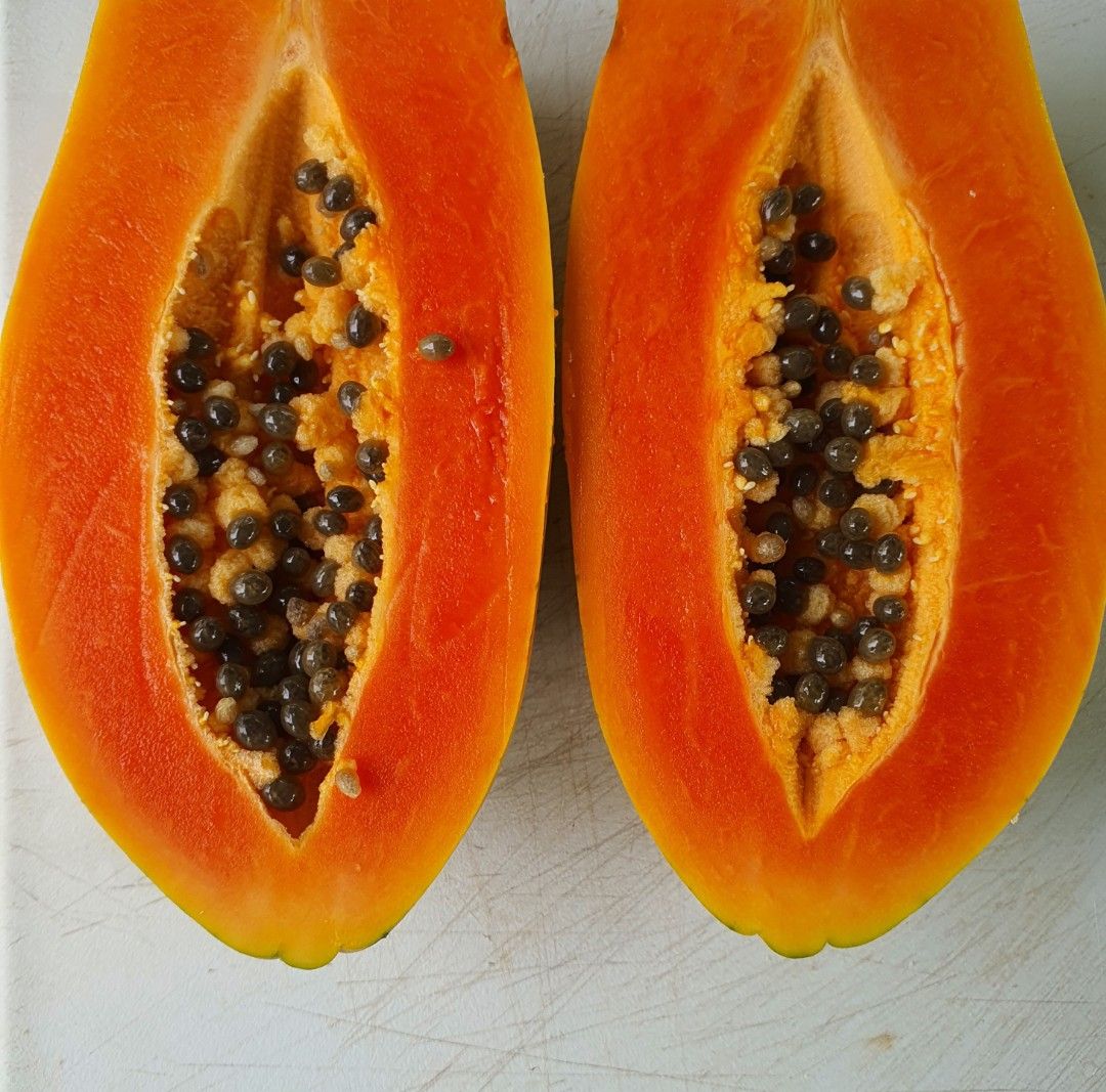 Organically grown dwarf papaya tree for sale, Furniture & Home Living