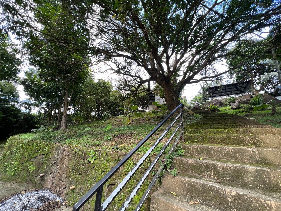 Paradise Farm SJDM Rest house with pool 1 hectare, Property, For Sale