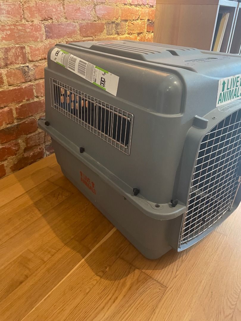 Petmate Sky Kennel Large size, Pet Supplies, Homes & Other Pet