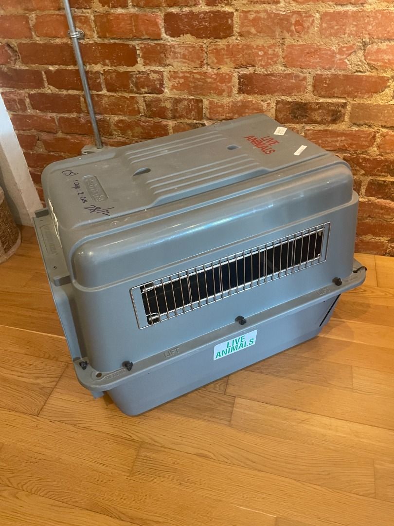 Petmate Sky Kennel Large size, Pet Supplies, Homes & Other Pet