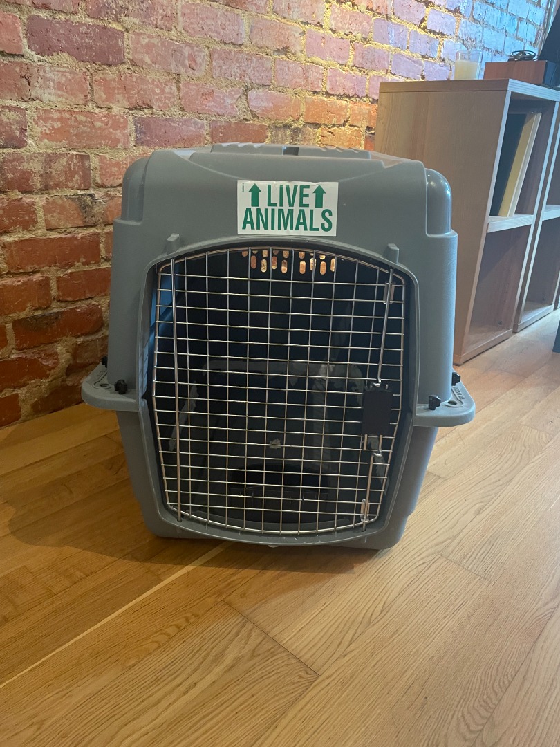 Petmate sky outlet kennel sizes