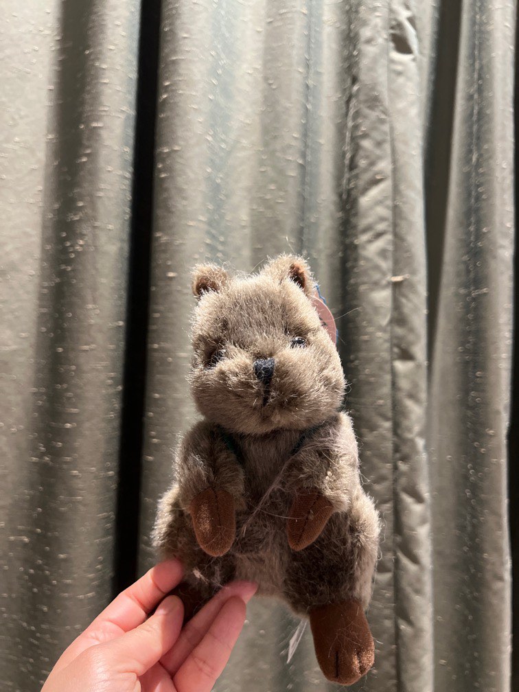 Quokka stuffed toy, Hobbies & Toys, Toys & Games on Carousell
