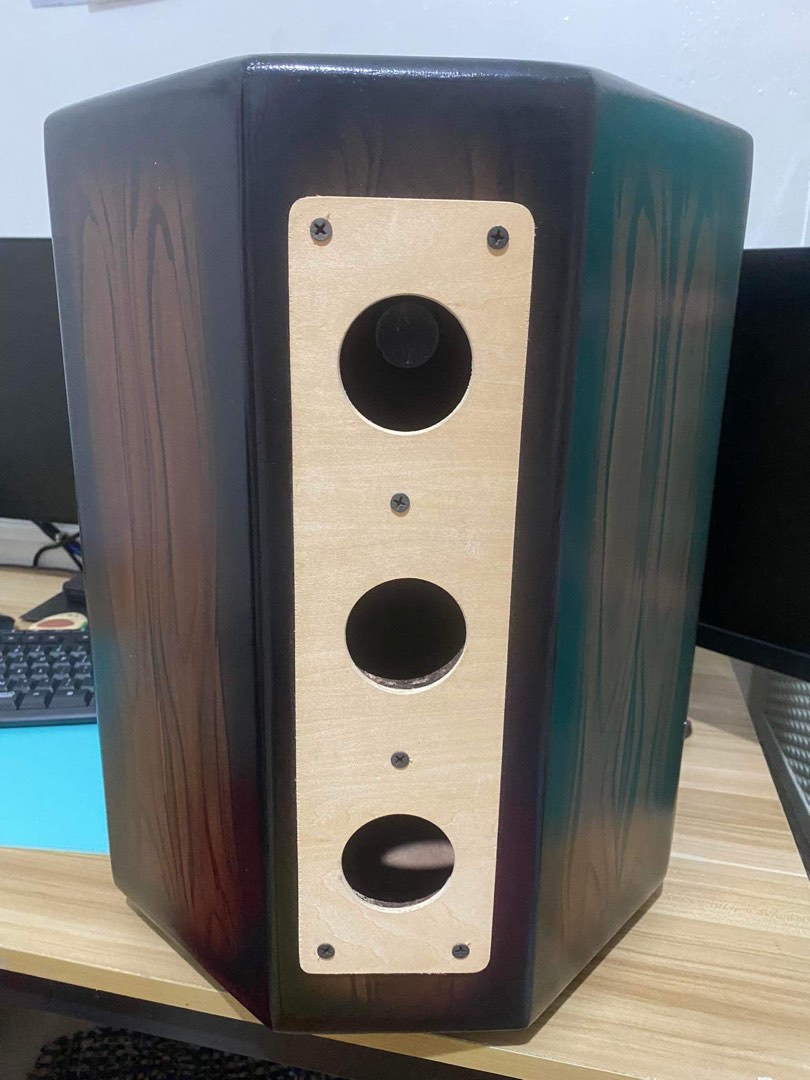 RJ electric beatbox (cajon) with gig bag 3000, Audio, Soundbars